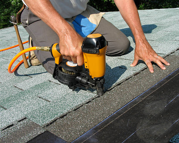 Best Roof Gutter Cleaning  in Warren, MN