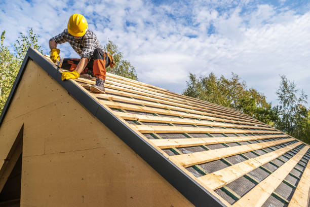 Best Slate Roofing Contractor  in Warren, MN