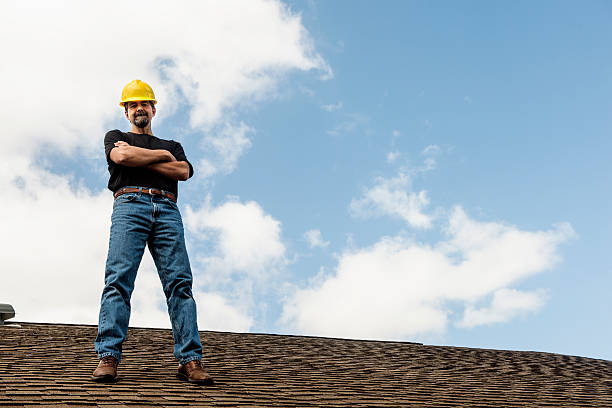 Best Metal Roofing Contractor  in Warren, MN