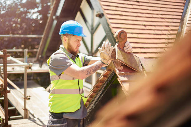 Best Storm Damage Roof Repair  in Warren, MN