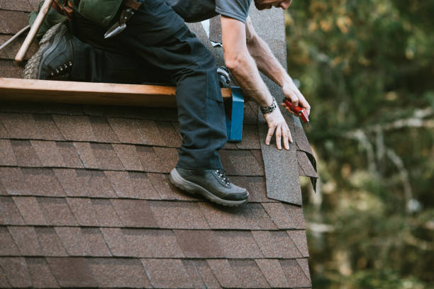 Best Roof Leak Repair  in Warren, MN