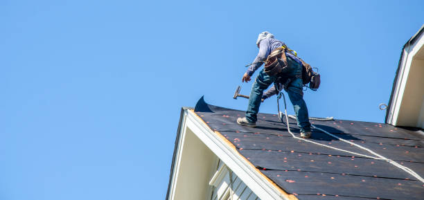 Best Storm Damage Roof Repair  in Warren, MN